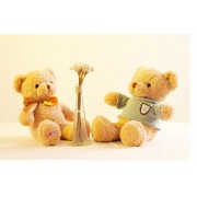 新品多个款式毛衣泰迪熊 创意大号抱抱熊玩偶天使泰迪熊玩偶批发