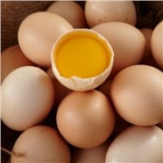 原材料品质有保证的土鸡蛋